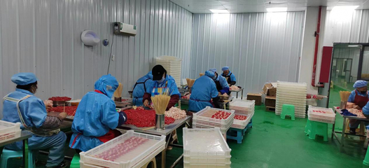 水城區(qū)供銷社 興辦企業(yè)架起搬遷戶就業(yè)橋——投資咨詢助力鄉(xiāng)村振興